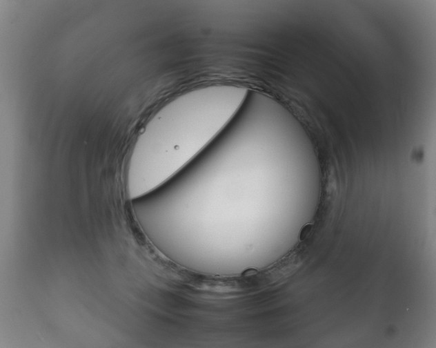 X0000111900559200907271013