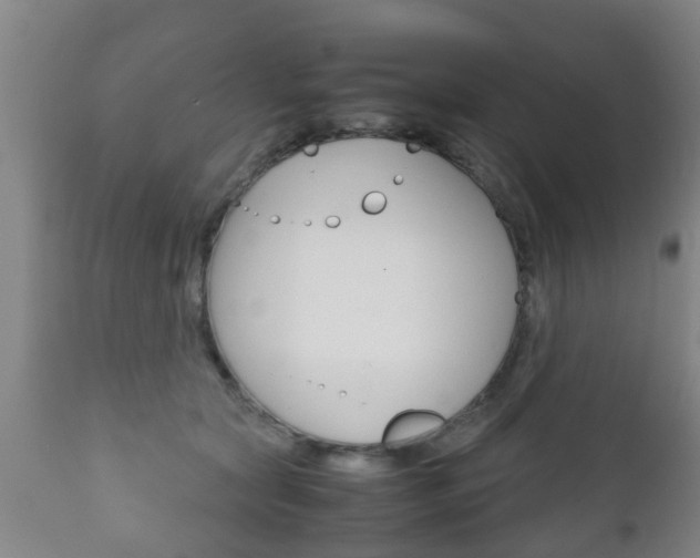 X0000111900561200907271013