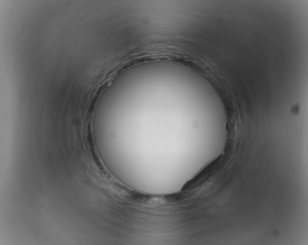 X0000111900562200907271013