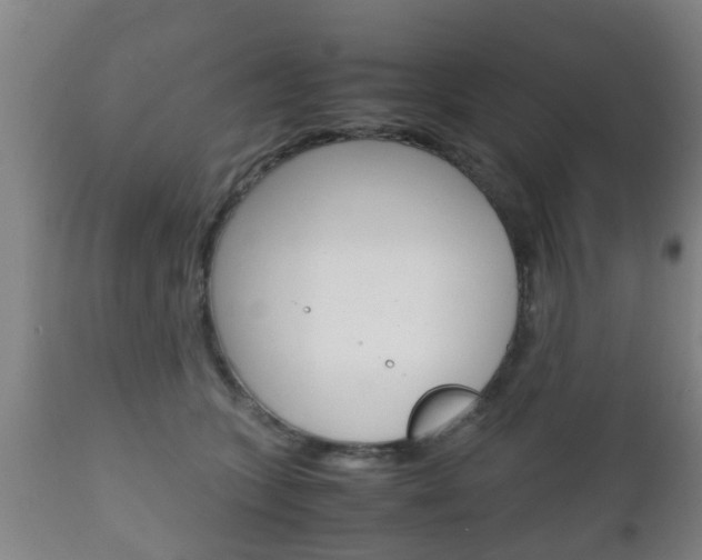 X0000111900563200907271013