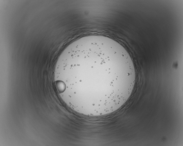 X0000111900564200907271013