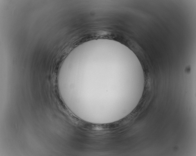 X0000111900565200907271013