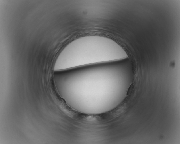X0000111900566200907271013