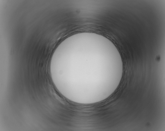X0000111900568200907271013
