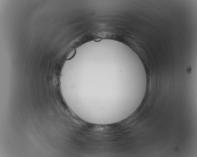 X0000111900569200907271013