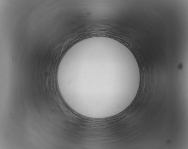 X0000111900570200907271013
