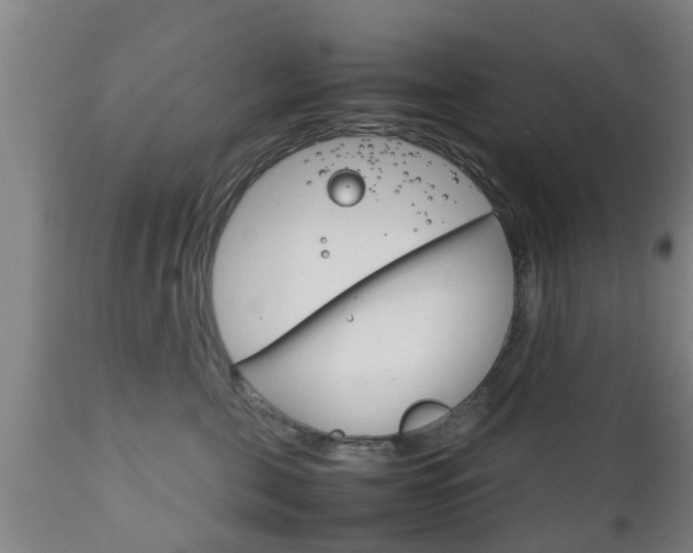 X0000111900571200907271013