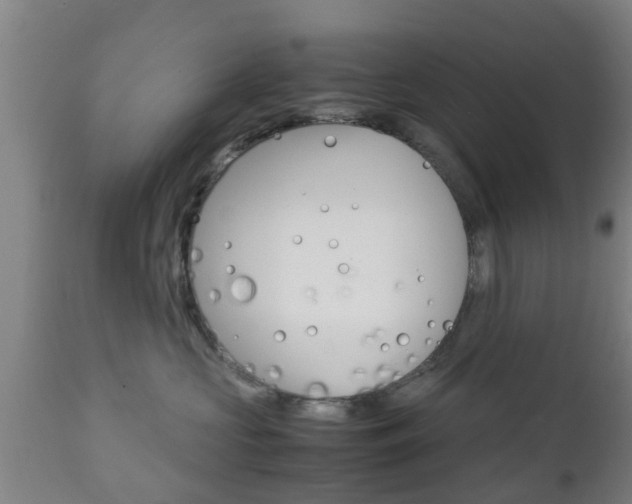 X0000111900573200907271013