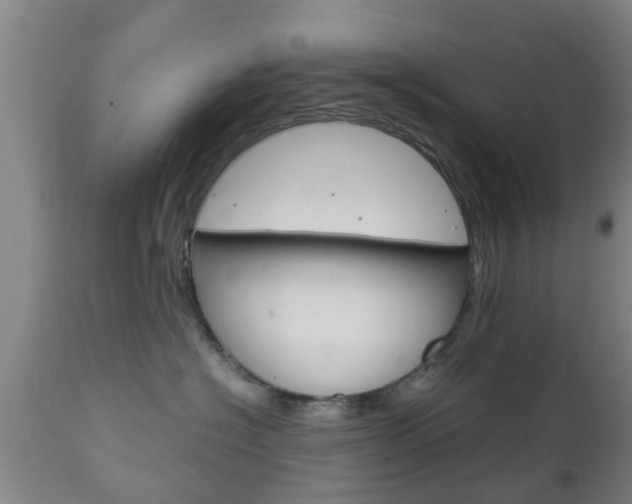 X0000111900574200907271013