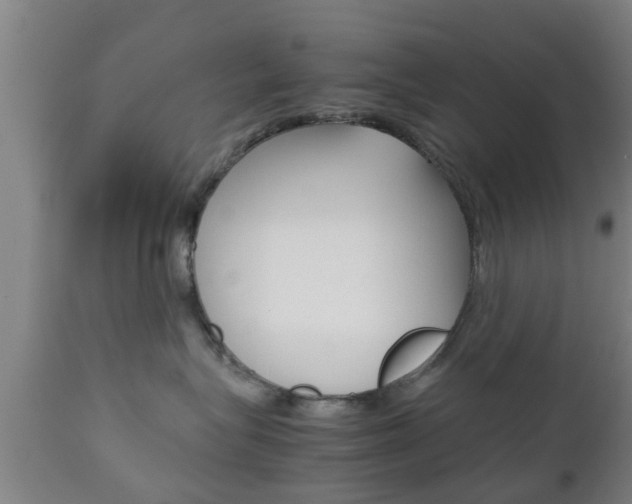 X0000111900575200907271013