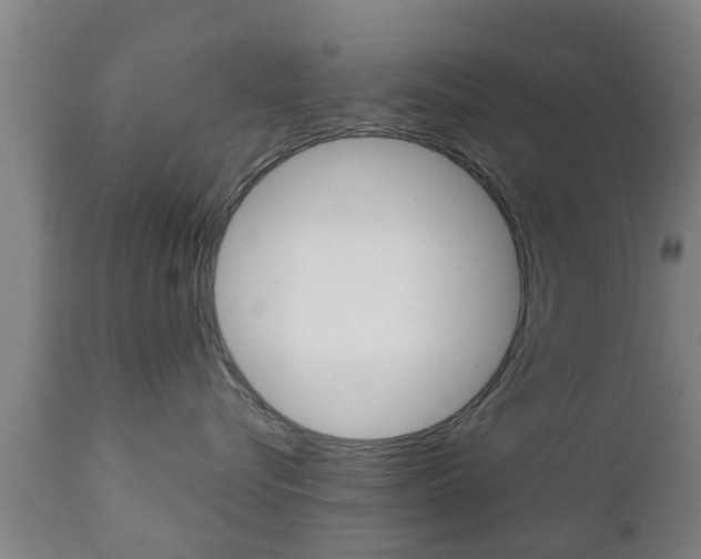 X0000111900576200907271013
