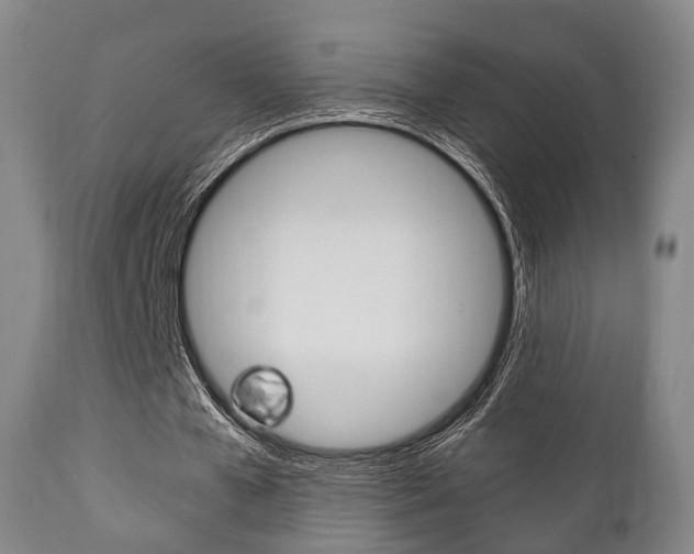 X0000111900577200907271012