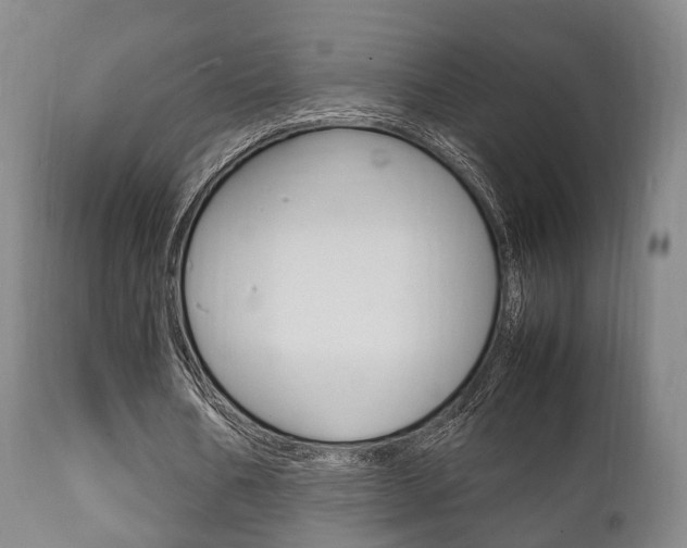 X0000111900578200907271012