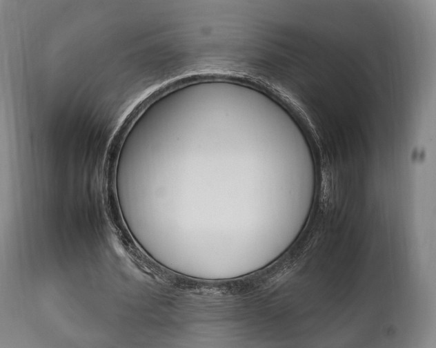 X0000111900580200907271012