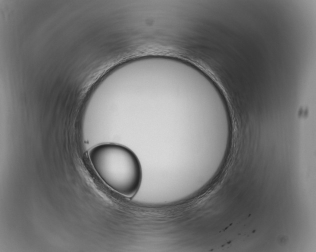 X0000111900581200907271012