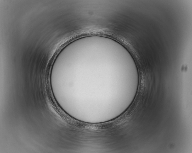 X0000111900582200907271012