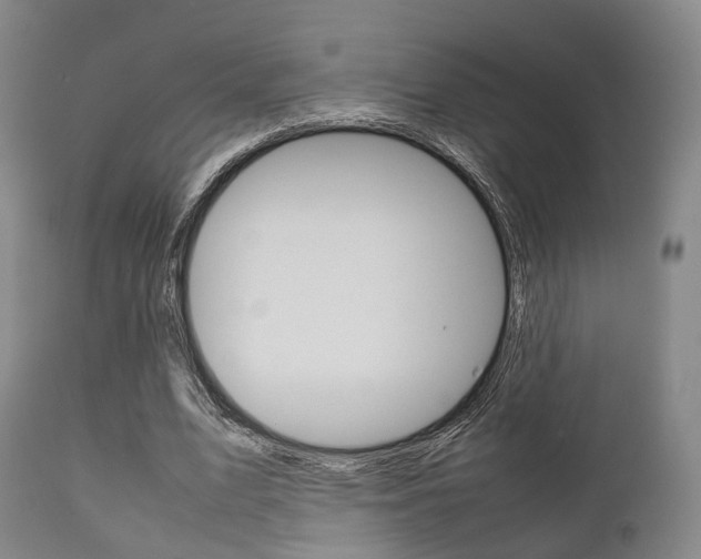 X0000111900583200907271012