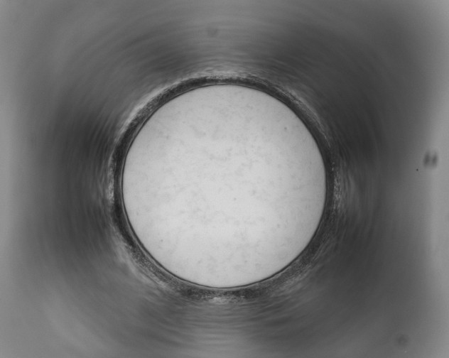 X0000111900584200907271012