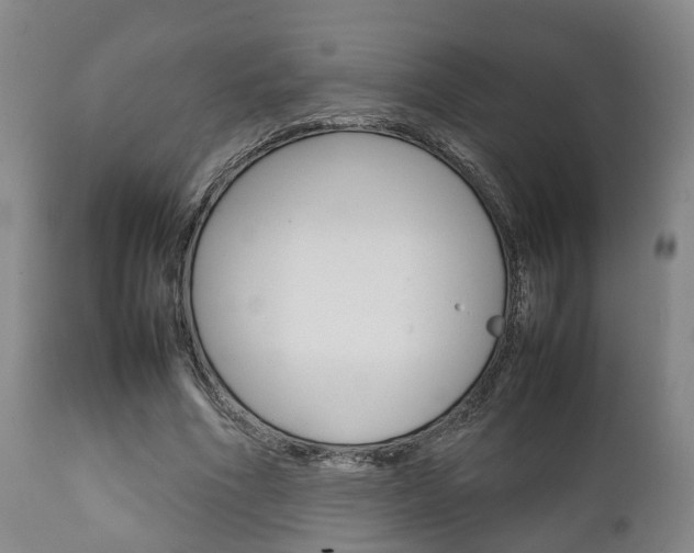 X0000111900586200907271012