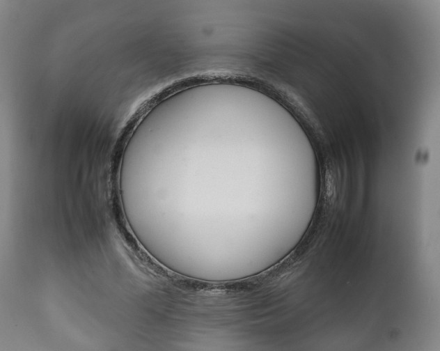 X0000111900588200907271012