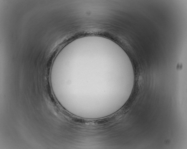 X0000111900591200907271012