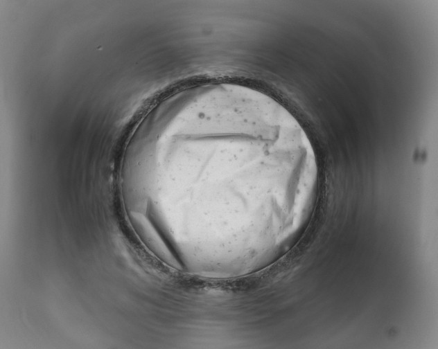 X0000111900592200907271012