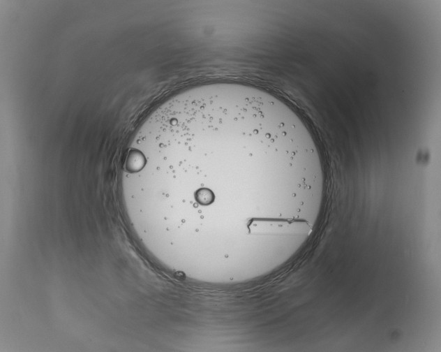 X0000111900593200907271012