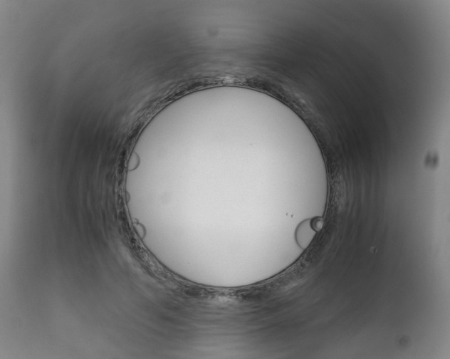 X0000111900594200907271012