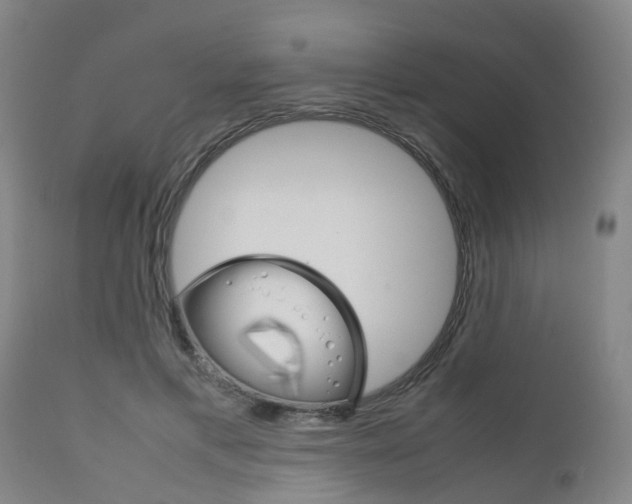 X0000111900597200907271012