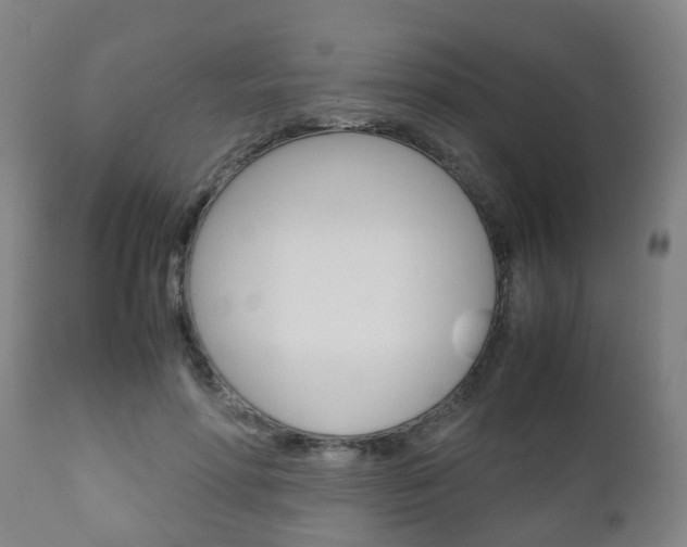 X0000111900598200907271012