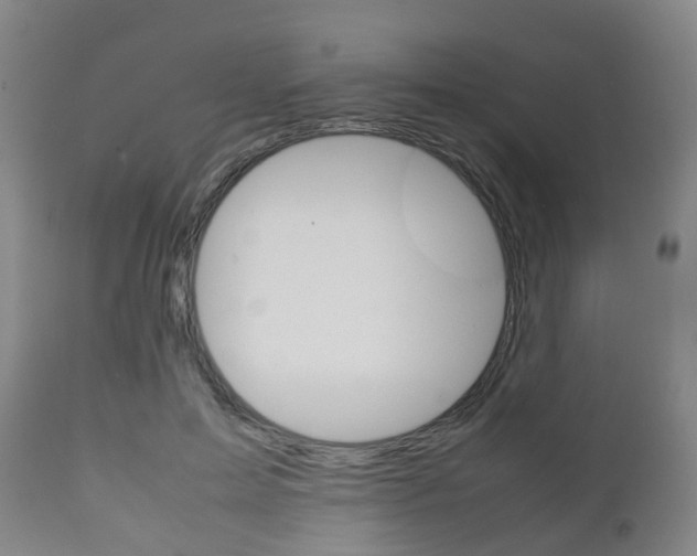 X0000111900599200907271012