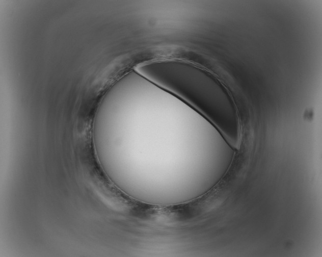 X0000111900601200907271012