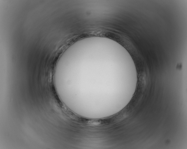 X0000111900602200907271012