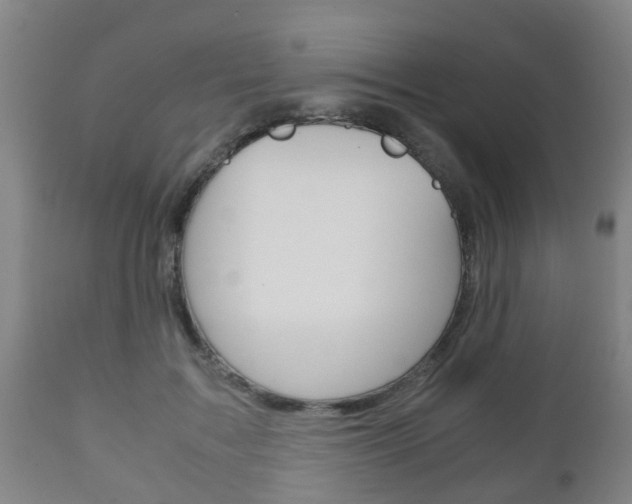 X0000111900603200907271012