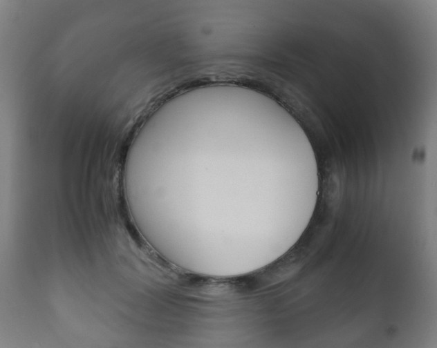 X0000111900604200907271012