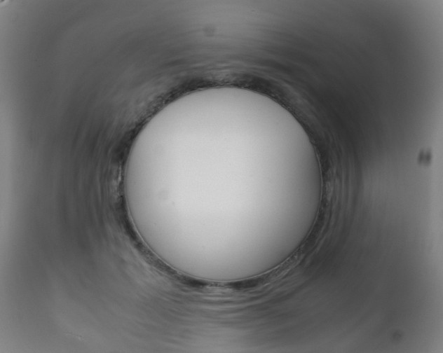 X0000111900605200907271012