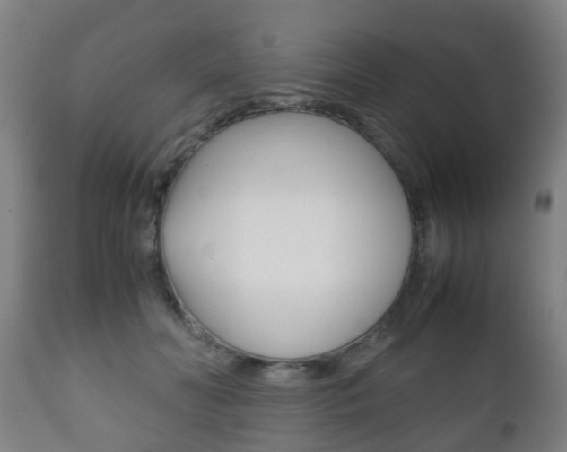 X0000111900606200907271012