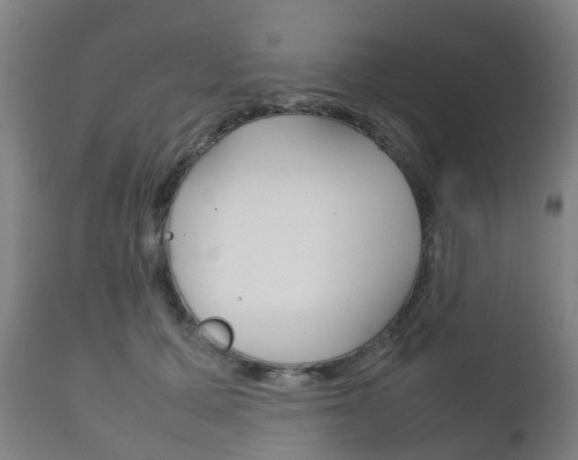 X0000111900607200907271012