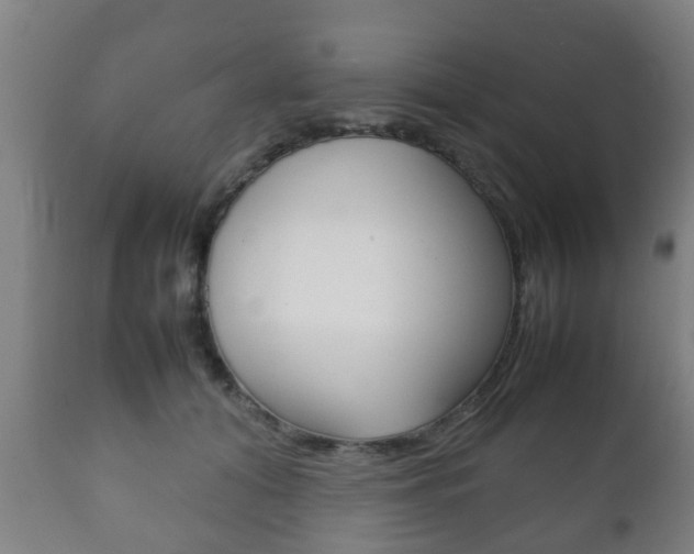 X0000111900608200907271012