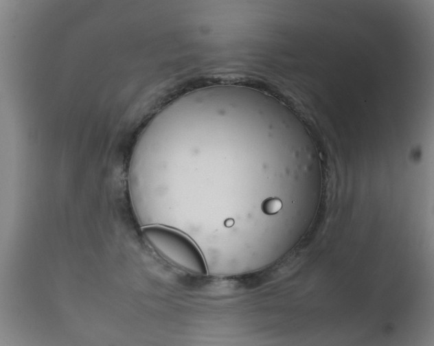 X0000111900609200907271012