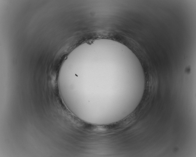 X0000111900610200907271012