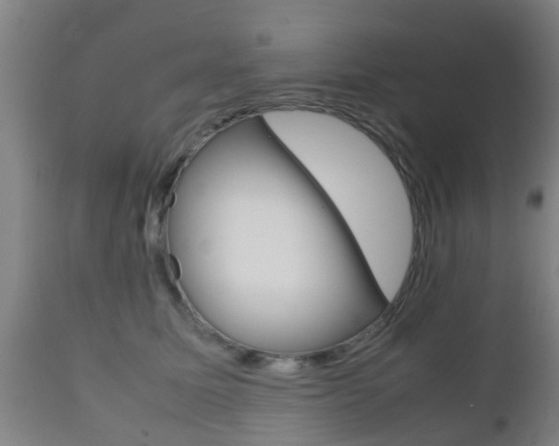 X0000111900611200907271012