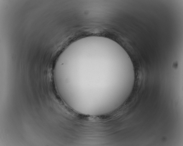 X0000111900612200907271012