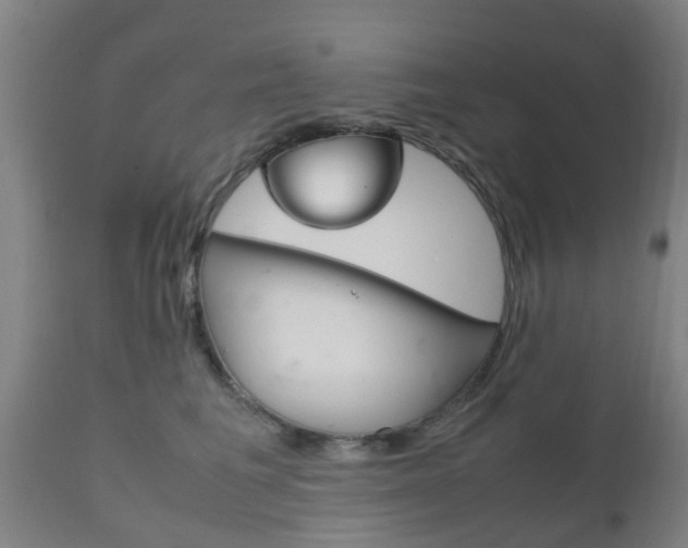 X0000111900613200907271012