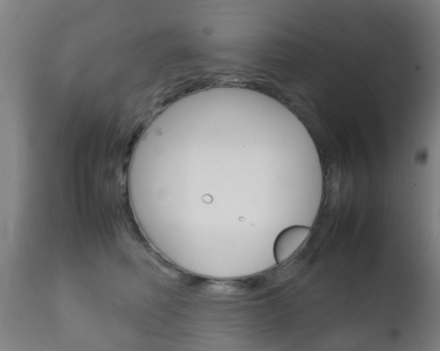 X0000111900614200907271012