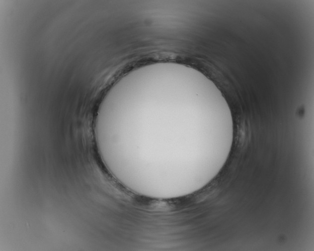 X0000111900616200907271012