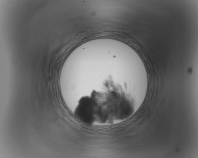 X0000111900617200907271012