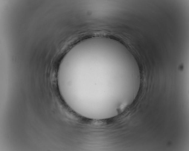 X0000111900619200907271012
