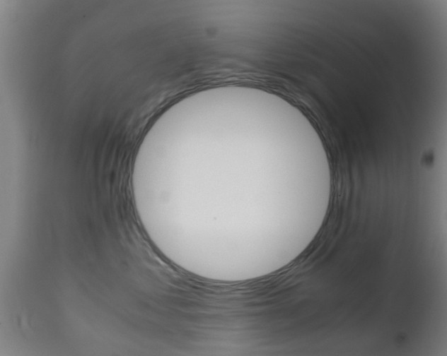 X0000111900621200907271012
