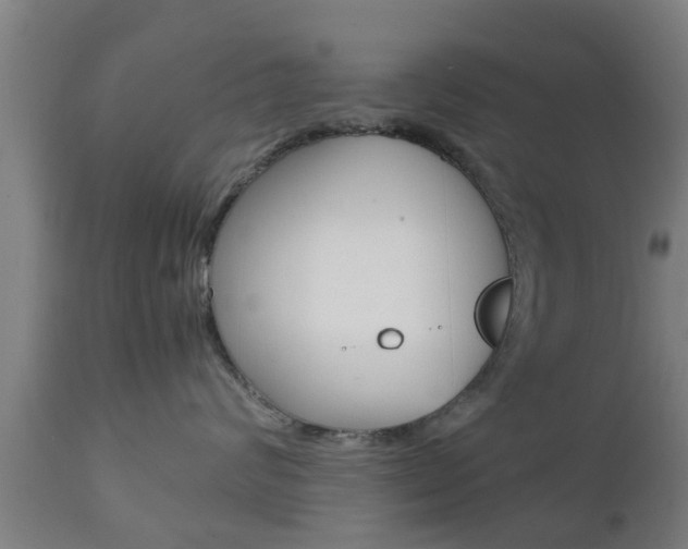 X0000111900624200907271011